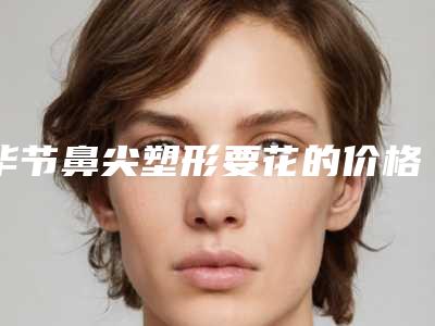 毕节鼻尖塑形要花的价格是多少